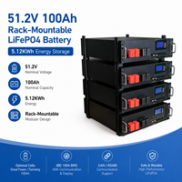 Baterai LiFePO4 51.2V 100Ah 5.12kWh untuk Rak Server, Penyimpanan Energi Surya dengan Smart BMS CAN RS485 OEM ODM