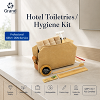 Ensemble de trousse de toilette d'hôtel personnalisée avec peigne en bambou, rasoir, kit d'hygiène de voyage biodégradable, fourniture d'usine