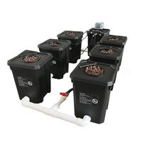 Sistema hidropónico interior automatizado, jardineras holandesas inteligentes con control de nivel de agua