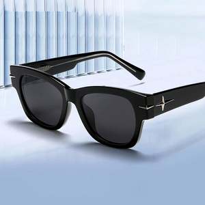 Lunettes de soleil polarisées œil de chat rétro 2026 personnalisables avec logo pour hommes et femmes, protection UV400, monture TR90, idéales pour la conduite - Product Image 4