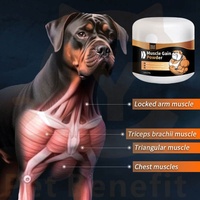 Suplemento en Polvo para Ganancia Muscular en Perros, Alto en Proteínas, BCAA, Calorías, Suplemento Alimenticio para Perros, Salud Animal, Personalización OEM/ODM