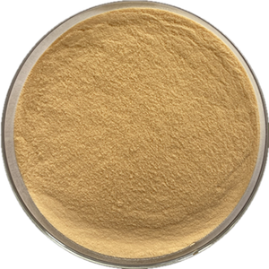 Poudre de Jackfruit Pure, Poudre Naturelle de Fruits et Légumes, Matière Première pour Boissons et Pâtisseries - Product Image 2