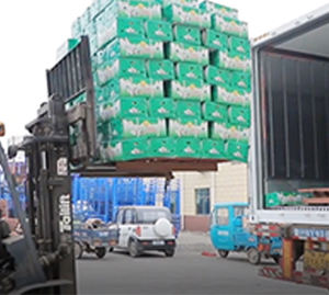 Taze sarımsak yeni mahsul beyaz sarımsak Ail tedarikçisi çin sarımsak fabrikası ile yüksek kalite - Product Image 2