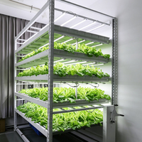 Usine verticale d'agriculture intérieure entièrement équipée, multi-niveaux, facile à utiliser, avec service personnalisé et produit professionnel