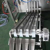 Machine automatique multi-voies de formage, remplissage et scellage de sachets pour aliments liquides - Miel, mayonnaise, gel énergétique - Ensacheuse VFFS pour film plastique