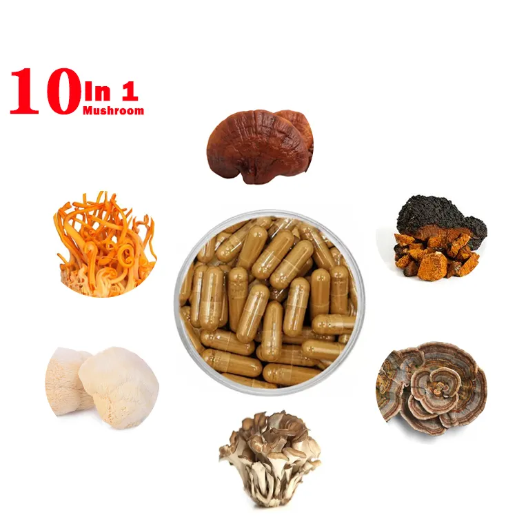Private Label 10 In 1 Mushroom Extract Capsules 500mg/120Caps/Bottle Lions Mane, Reishi, Cordyceps, Chaga, Turkey Tail,Maitake