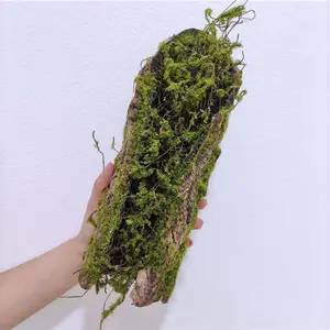 Commercio all'ingrosso artificiale Artificiale Corteccia di Albero con Muschio appeso decorazione vegetale