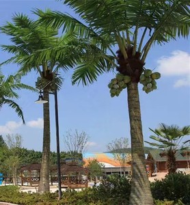 Venta al por mayor interior exterior grande 4m 8M cocotero artificial <span class=keywords><strong>palmera</strong></span> <span class=keywords><strong>gigante</strong></span> jardín Hotel paisaje cocotero - Product Image 4
