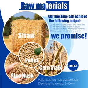 RICHI Hot Selling 2t Straw Pellet Machine <strong>Uk</strong> - Product Image 2