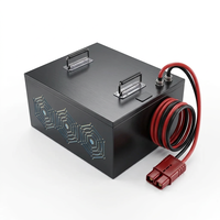 Batterie au sodium-ion pour chariot élévateur électrique, transpalette, gerbeur, AGV, pack de batteries Na-ion 48V 80V 100-600Ah
