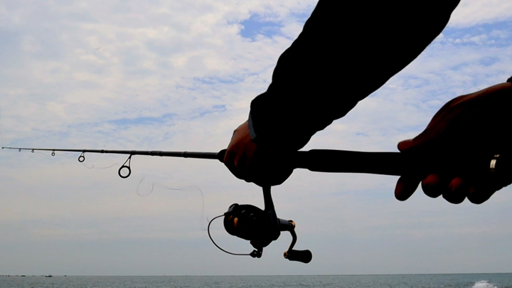 Ashconfish Mulinello da pesca, rapporto di trasmissione 5.0
