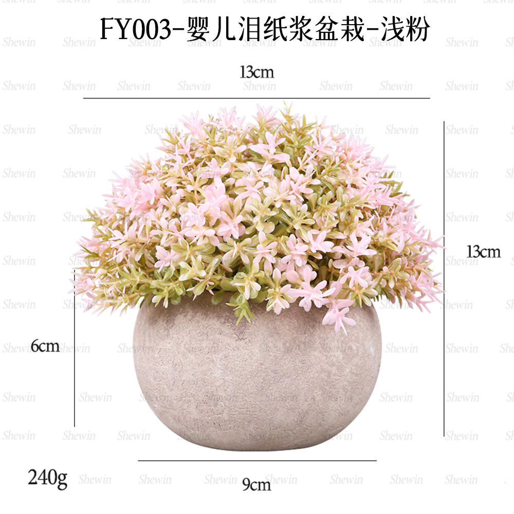 Plante de pot de pulpe de larmes de bébé (rose)