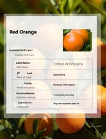 Huile Essentielle Biologique de Citrus Reticulata OEM pour l'Aromathérapie, les Soins de la Peau, les Diffuseurs, les Parfums de Créateurs, Huile de Zeste de Mandarine Douce en Vrac