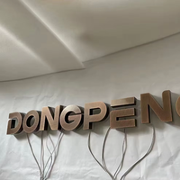 Enseigne publicitaire commerciale extérieure DakeSign Factory OEM personnalisée en métal doré rétroéclairé 3D avec lettres LED, étanche IP65, pour hôpital
