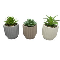 Vente en gros de petits pots de fleurs ronds en ciment Pots de fleurs d'intérieur avec plante verte en plastique