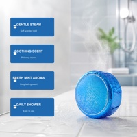 Tablette de douche artisanale à la menthe, apaisante et relaxante, coffret cadeau spa pour la douche, OEM ODM 30g