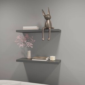 Matt Grey <b>Floating</b> Shelf Wall Mount Minimalist Modern Display Rack For Home Office Decor - Product Image 1