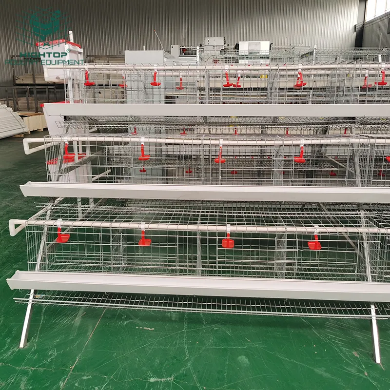 Wholesale A Type Egg Laying Hen Battery Chicken Layer Cage For Poultry Farms