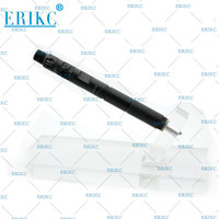 Inyector de combustible de motor diésel ERIKC EJBR06101D, inyección Euro 3, EJBR06101D, para YuchaI2.5, ltr, YUCHAI 2.6L, 4F, YC4F, 2008