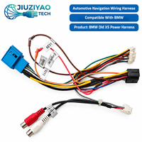 Faisceau de câblage automobile personnalisé en PVC avec interface CANBUS compatible pour X5 (modèle préliminaire) – Câble de connexion, assemblage de connecteurs, pièces OEM/ODM