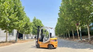 Minicarretilla elevadora eléctrica de 1 tonelada con certificado CE/ISO con batería de plomo-ácido de mástil de 2 niveles y 3 metros - Product Image 2