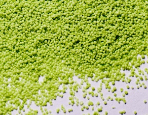 <span class=keywords><strong>Engrais</strong></span> en poudre d'extrait d'algues vertes DF, <span class=keywords><strong>engrais</strong></span> agricole biologique <span class=keywords><strong>pour</strong></span> la croissance des plantes - Product Image 4
