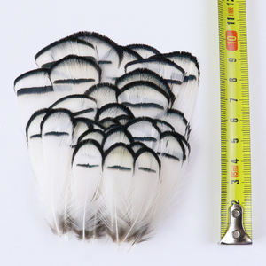 Piume di fagiano naturale <span class=keywords><strong>pavone</strong></span> turchia 8-13cm gioielli fai da te accessori artigianato materiale per legare a mosca pennacchio all'ingrosso - Product Image 4