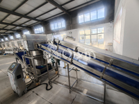 Centrifugeuse automatique continue à moteur PLC pour légumes-feuilles, essoreuse à salade, déshydrateur et machine de déshydratation