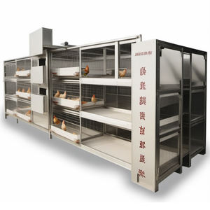 Cage de gril à batterie de poulet en forme de H en acier galvanisé entièrement automatique pour équipement de ferme avicole nouveau poulailler d'occasion - Product Image 4