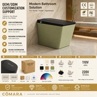 Nouvelle toilette intelligente de luxe sans réservoir, chauffée électriquement, ronde, en céramique noire mate, avec télécommande et double chasse d'eau, drainage P-trap/S-trap