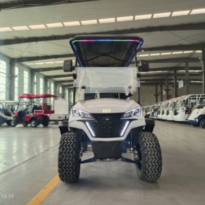 Dzy OEM Bán Buôn 4 + 2 6 Chỗ Ngồi Điện Tiện Ích Golf Giỏ Hàng Nâng Golf Giỏ Hàng 4 Bánh Xe Đĩa Phanh Golf Giỏ Hàng - Product Image 6