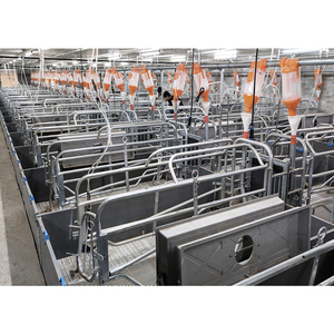 Équipement d'élevage de porcs à prix d'usine lit de mise bas de porcs stylo de mise bas de truie à vendre - Product Image 4