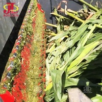 Hacheuse de déchets verts de grande capacité Hacheuse d'ensilage de maïs d'herbe d'éléphant