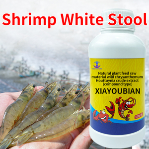 Aditivo Alimenticio para Camarones que Promueve <span class=keywords><strong>el</strong></span> Crecimiento sin Obstáculos para Animales Acuáticos, que Aborda la Problematica de <span class=keywords><strong>Heces</strong></span> Blancas y Vibrio Intestinal, con una Vida Útil de 2 Años - Product Image 3