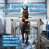Equipo Veterinario EUR VET, Máquina Eléctrica de Ejercicio para Caballos, para Entrenamiento y Recuperación Ecuestre
