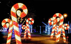 Personalizado Led Iluminado Navidad Centro Comercial Decoración Estrella Arco Túnel Arco Iluminado Arte Props <span class=keywords><strong>Parque</strong></span> Escénico Área Decoración - Product Image 6