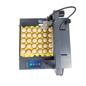 Nueva Plataforma de Impresión de Huevos con Eje XY, Impresora de Inyección de Tinta TIJ, Tinta de Secado Rápido, Impresión Automática de Logotipos/Fechas/Códigos QR, 1 Año de Garantía - Product Image 2