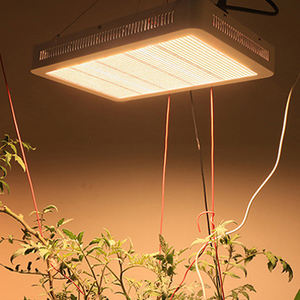 Lámpara de Cultivo LED Samsung 301H de 800W de Alta Eficiencia, Lámpara LED Superior para Plantas de Interior, Floración, Germinación y Crecimiento Vegetal - Product Image 2