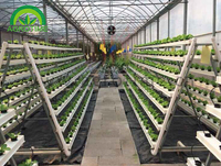 Serres agricoles Aéroponique Laitue Système hydroponique Vertical Vertical Racks de Culture Système Nft Hydroponique