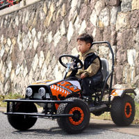 QIQU 48V 500W Buggy de Carreras Comercial con Eje de Transmisión sin Escobillas, Carga de 100 kg, Go Kart Eléctrico para Niños, Velocidad de 40 km/h, para Exteriores