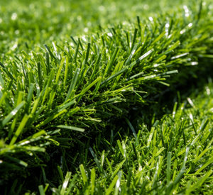 Installation facile, gazon de football de 20 mm, haute densité, ignifuge, imperméable, antidérapant - Product Image 6