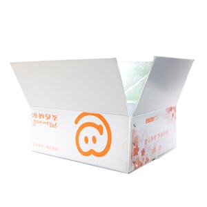 Caja de Cartón Corrugado Personalizada, Reciclable, de Temperatura Constante, Caja de Envío Aislada <span class=keywords><strong>para</strong></span> Alimentos Congelados - Product Image 6
