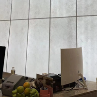 Panneau décoratif translucide en acrylique PMMA effet glace craquelée pour cloison, boîte à lumière, fond de comptoir d'accueil, mur de fond de réception - Chine