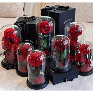 मातृ दिवस उपहार रियल गुलाब फूल हमेशा के लिए एक गिलास गुंबद में संरक्षित फूल पौधों अनन्त गुलाब वेलेंटाइन दिवस उपहार