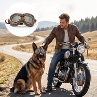Lunettes de soleil pliables vintage pour chien, protection UV, coupe-vent, pour chiens de taille moyenne à grande, protection extérieure