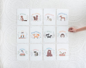 Tarjetas de estudio Tarjetas Flash de aprendizaje Tarjeta educativa para niños - Product Image 3