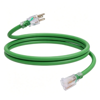 Câble d'extension électrique Nema 5-15p, fil SJTW, utilisation multiple en extérieur, prise standard américaine, rallonge robuste, 100 pieds