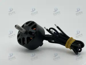 Made in China geräuscharmer 24V 850W Mini bürstenloser Gleichstrommotor hohe Geschwindigkeit für Drohne Tätowierstiftmaschine Nagelmaschine