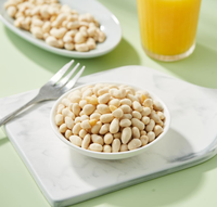 Nueces de Pino Recubiertas de Wasabi, Bocadillos de Nueces con Sabor a Wasabi, Nueces Saludables, Bocadillos Crujientes y Sabrosos