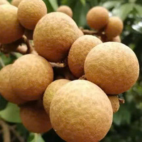 Vietnamese verse biologische longanvruchten voor export met stabiele aanvoer, concurrerende prijs, natuurlijke smaak, VietGAP gecertificeerd